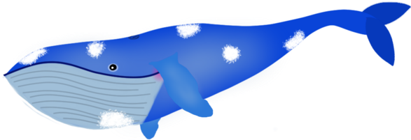 Audiobooks - Blue Whale Clipart (600x762), Png Download