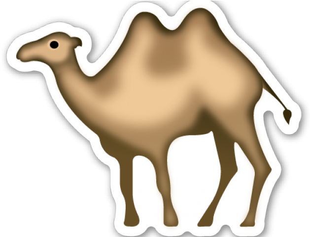 Camel Clipart Bactrian Camel - Camel With No Background - Png Download (640x480), Png Download