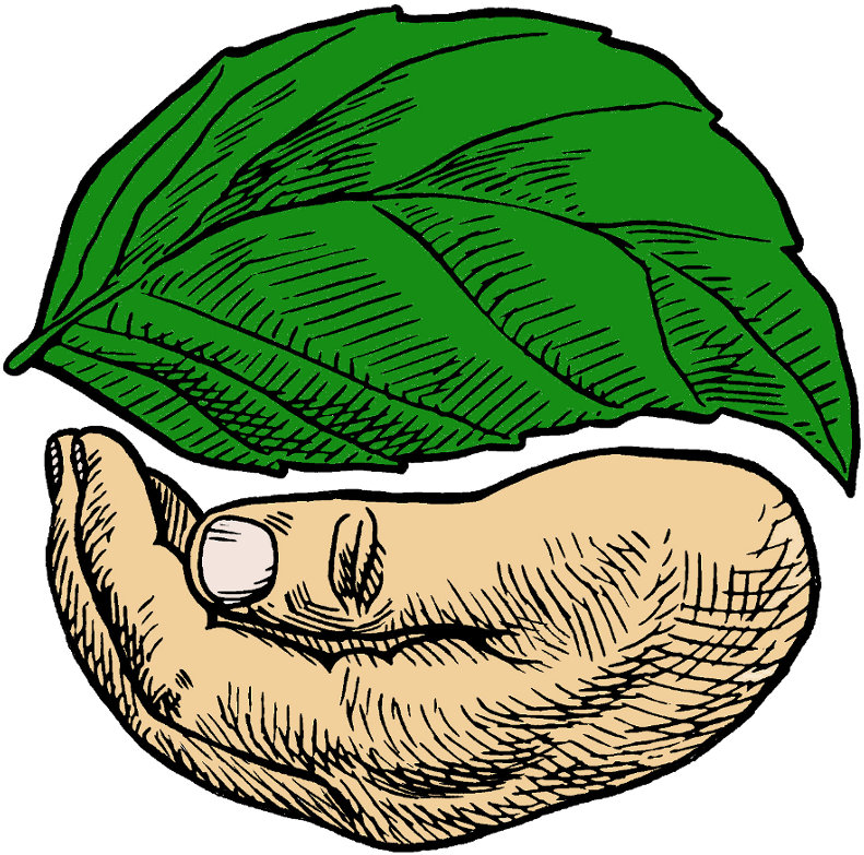 Sacred Seeds - Sacred Seed Clipart (800x800), Png Download