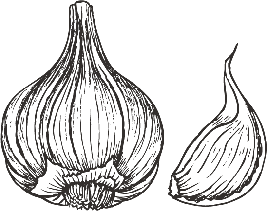Image Free Stock Collection Of Drawing Png High Quality - Garlic Black White Clip Art Transparent Png (600x600), Png Download