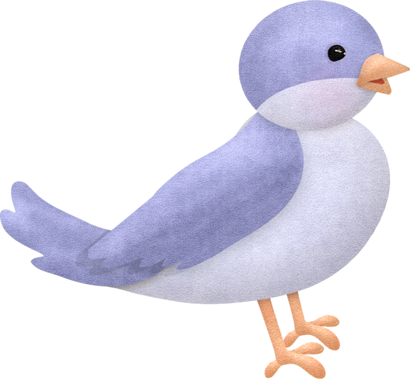 Bird Clipart (800x740), Png Download