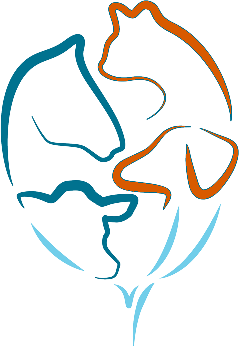 Companion Animal Clipart (500x704), Png Download