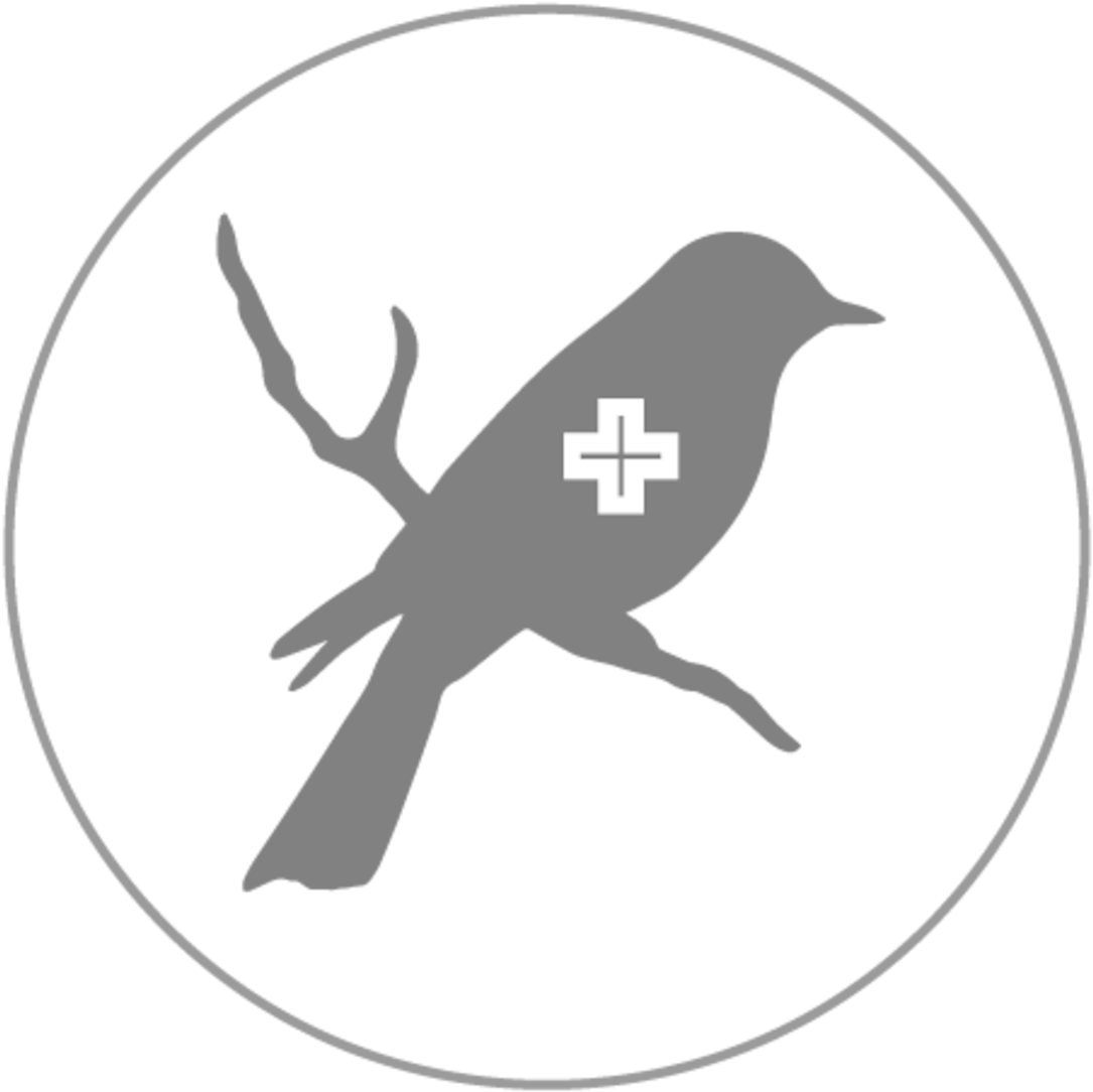 Mockingbird Plus Say Hacks Png Mockingbird Stencil - Colourful Cross Stitch Patterns Clipart (1200x1200), Png Download