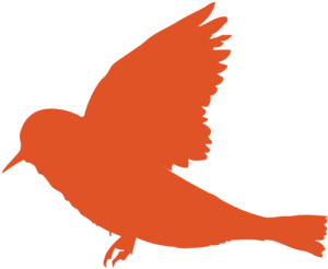 Illustration For Carter Sampson Album Clipart (1000x667), Png Download