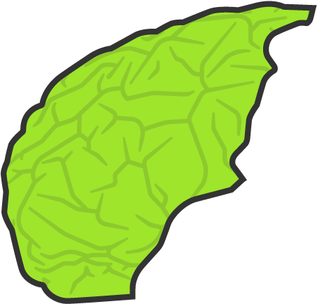 Show Hotspotsprefrontal Cortex Clipart (1008x567), Png Download