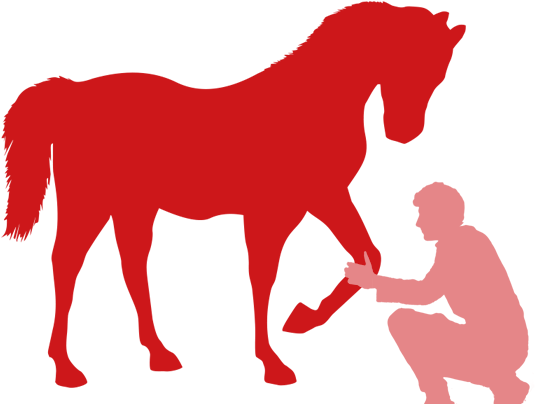 Cosmetics - Stallion Clipart (1000x419), Png Download