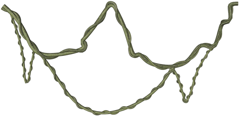 15 Jungle Vine Png For Free Download On Mbtskoudsalg - Jungle Vines Png Transparent Clipart (826x401), Png Download