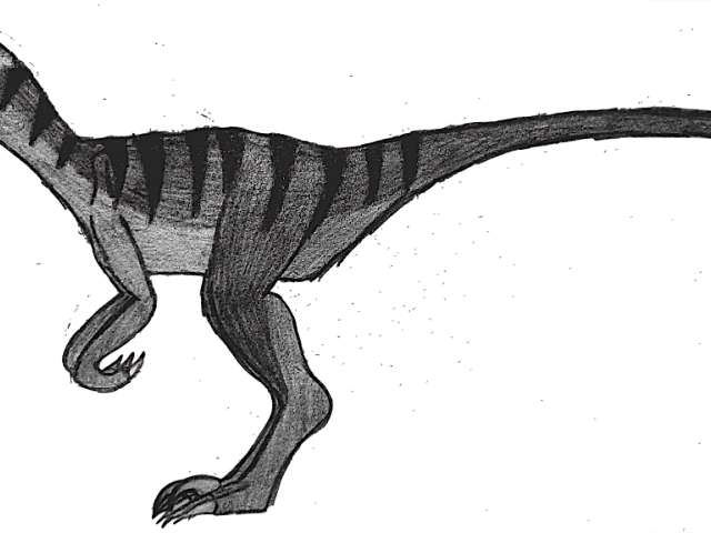 Velociraptor Clipart Black And White - Clip Art - Png Download (640x480), Png Download