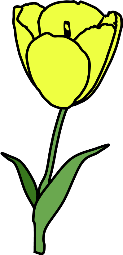 Tulip, Petals, Stamen, Yellow, Png Clipart (816x1056), Png Download
