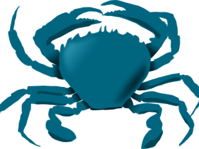 Crab Clipart Color - Animals Live In The Water - Png Download (640x480), Png Download