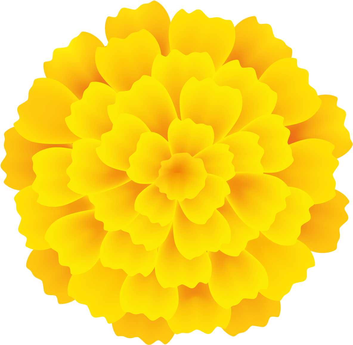 Nora Rios On Pinterest - Tagetes Patula Clipart (1241x1241), Png Download