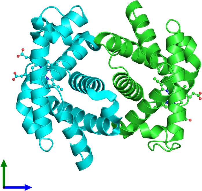 Ribbon Structure Of 2hbd Clipart (800x800), Png Download