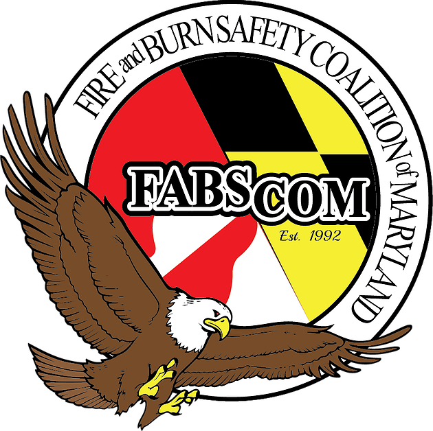 Falcon Clipart Golden Hawk - Hawk - Png Download (630x628), Png Download