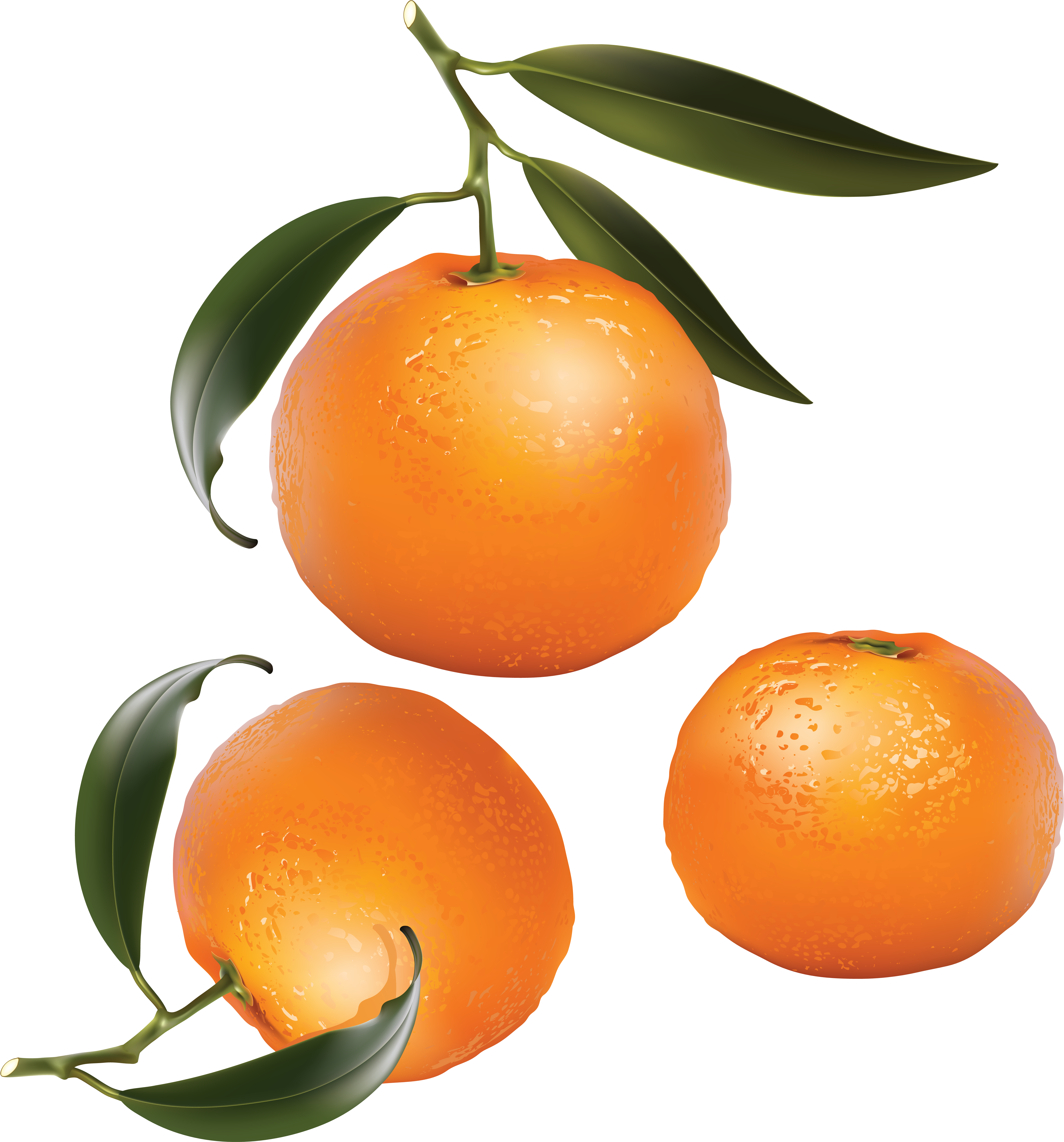 Oranges Clip Art , Png Download Transparent Png (5799x6227), Png Download