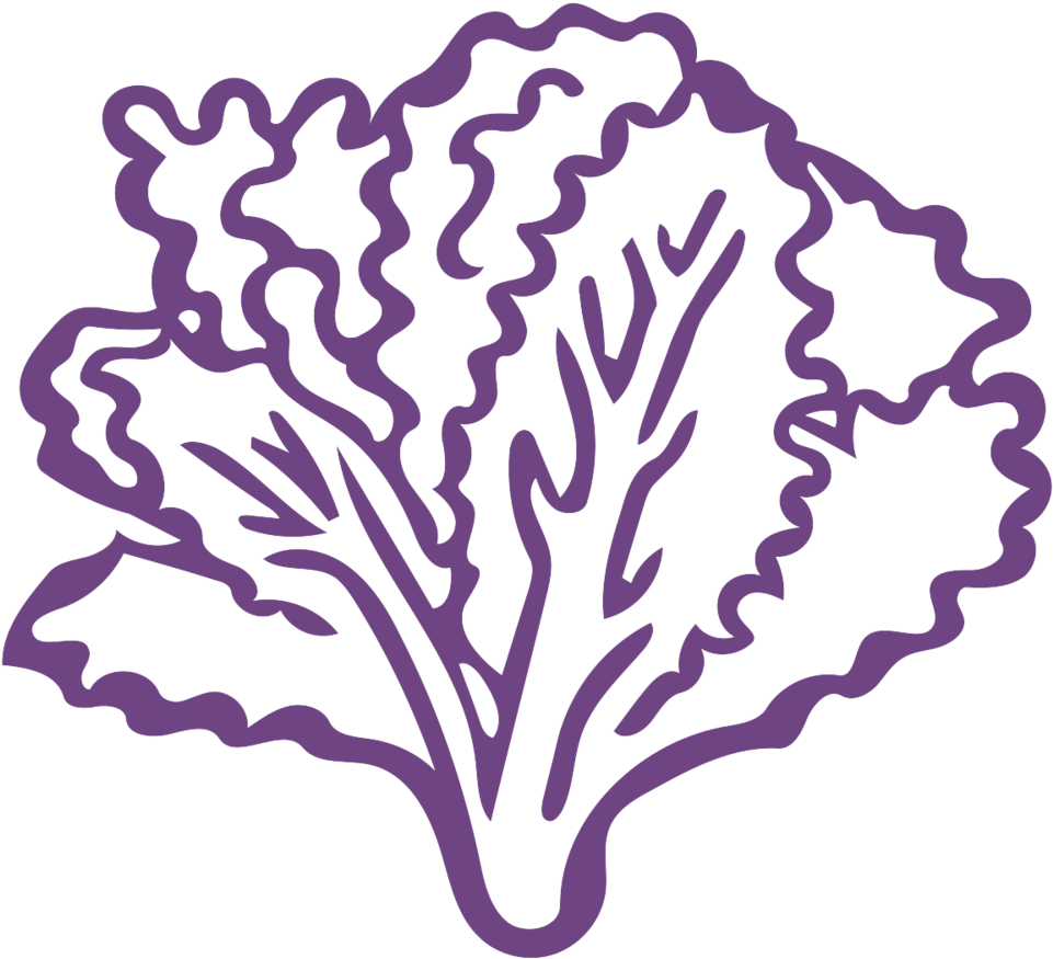 Noun Kale 1026519 6e4482 - Lechuga En Imagen Blanco Y Negro Clipart (1000x1000), Png Download