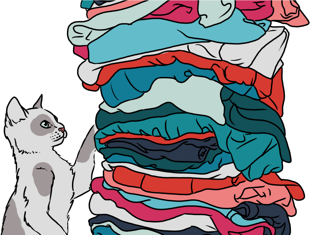 What To Know About What We Wear - Cartoon Clipart (1200x800), Png Download