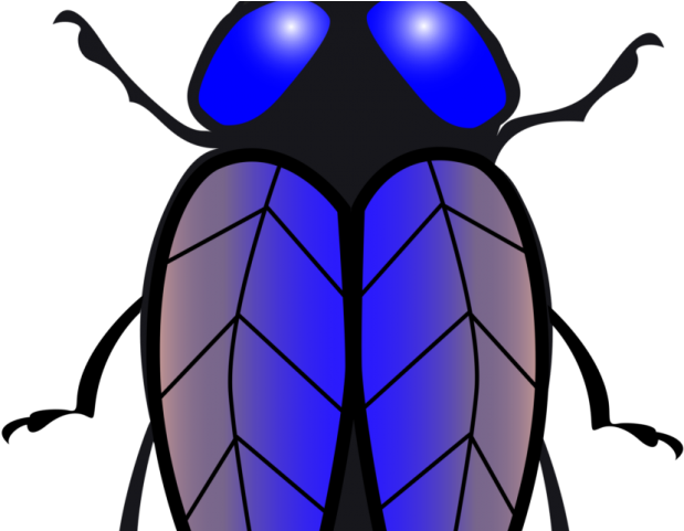 Fly Clipart Beetle - Lalat Vektor Png Transparent Png (640x480), Png Download