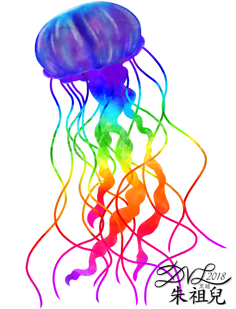 774 X 1032 1 - Jellyfish Clipart (774x1032), Png Download