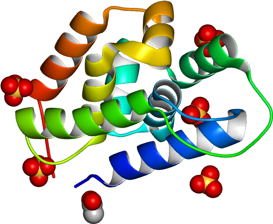 Database Information - Christmas Tree Clipart (768x768), Png Download