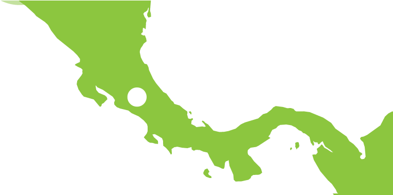 Each Pineapple Has A Guarantee Brix Level Throughout - Del Colegio Abel Bravo Clipart (1000x378), Png Download