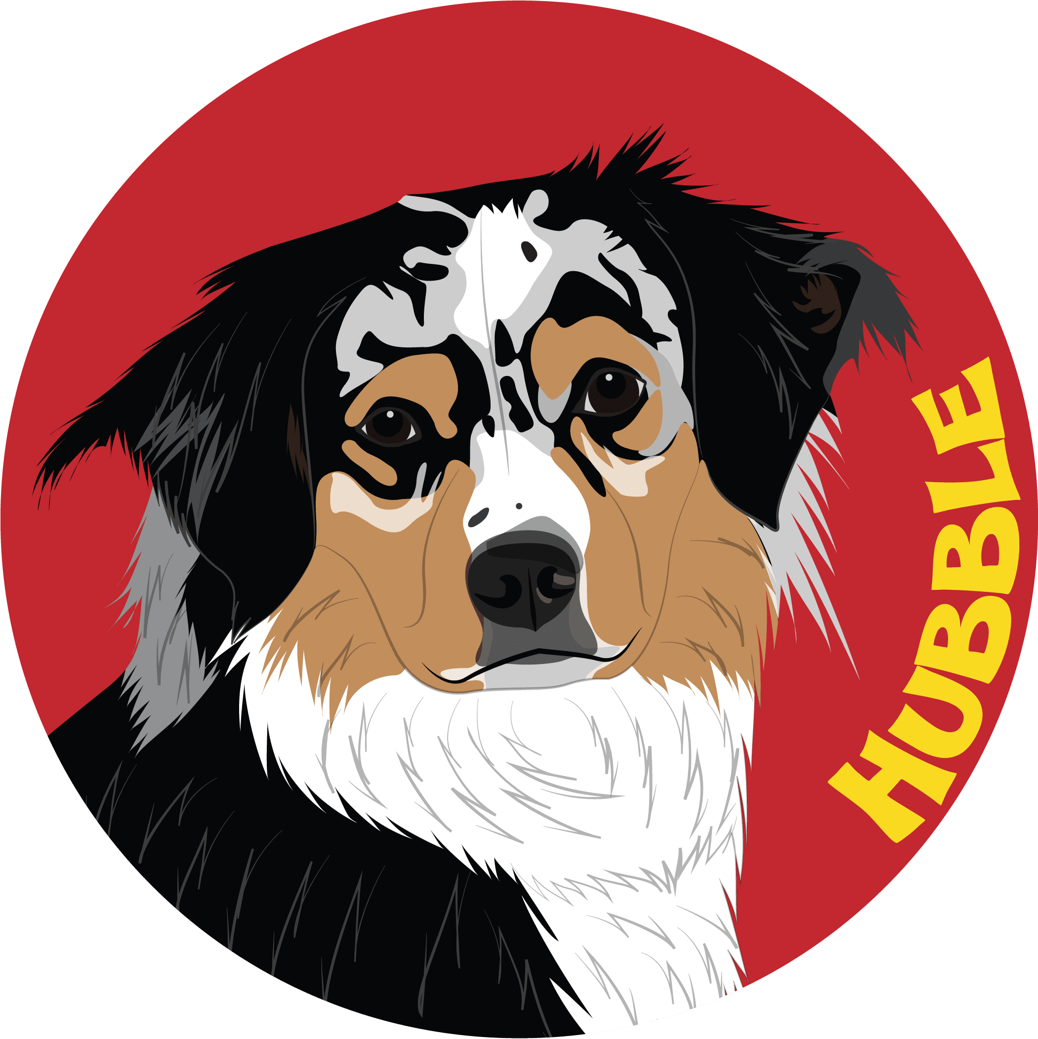 Bernese Mountain Dog Clipart (2100x3213), Png Download