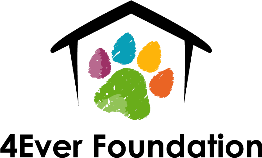 A Non-profit Organization Offering Cats & Kittens In - First National Real Estate Clipart (880x549), Png Download