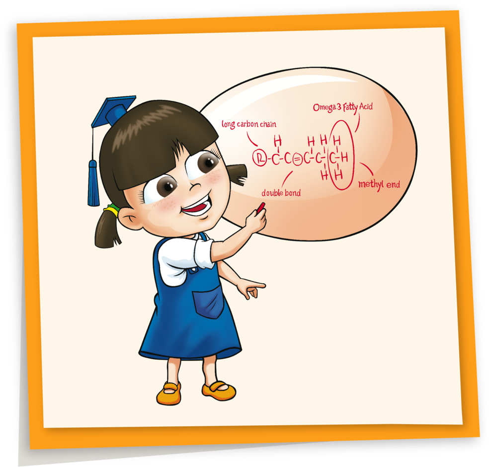 Eggs Can - Cartoon Clipart (1000x960), Png Download
