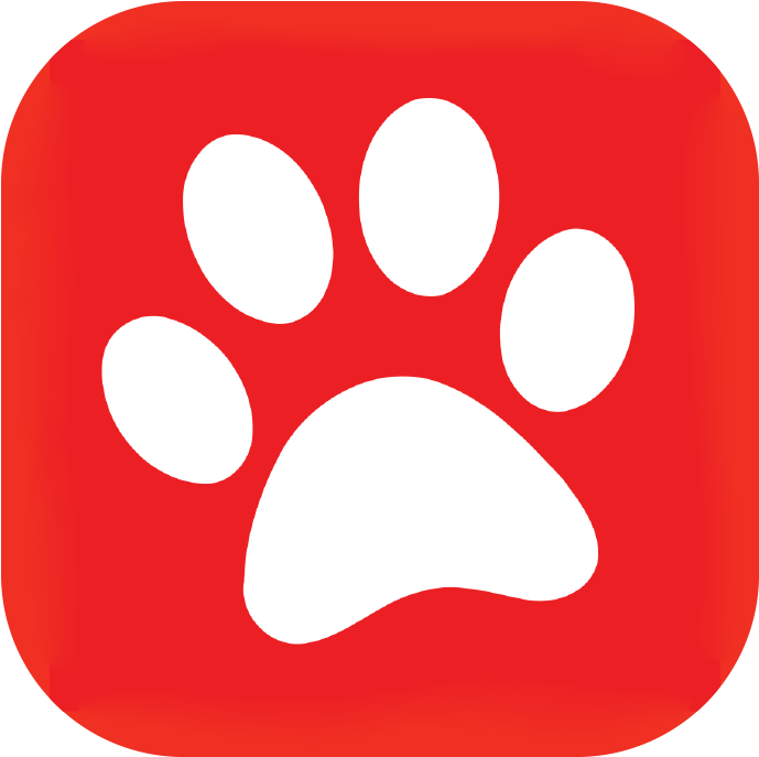 App Icons Clipart (1800x1200), Png Download