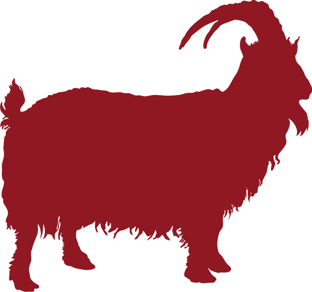 Fiber Goats - Yak Clipart (640x599), Png Download