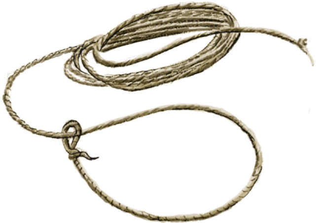 Lasso Rope Png Clipart (640x480), Png Download