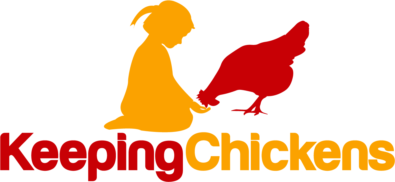 Raising And Keeping Chickens - Illustration Clipart (1476x787), Png Download