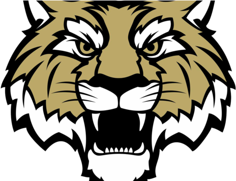 Lebanon High School Athletics Department - Lebanon High School Tigers Clipart (480x355), Png Download