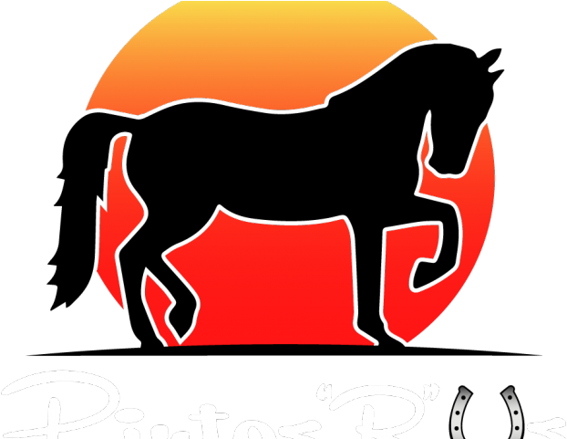 Rider Clipart Horse Trail Ride - Horse Silhouette Trick Riding - Png Download (640x480), Png Download