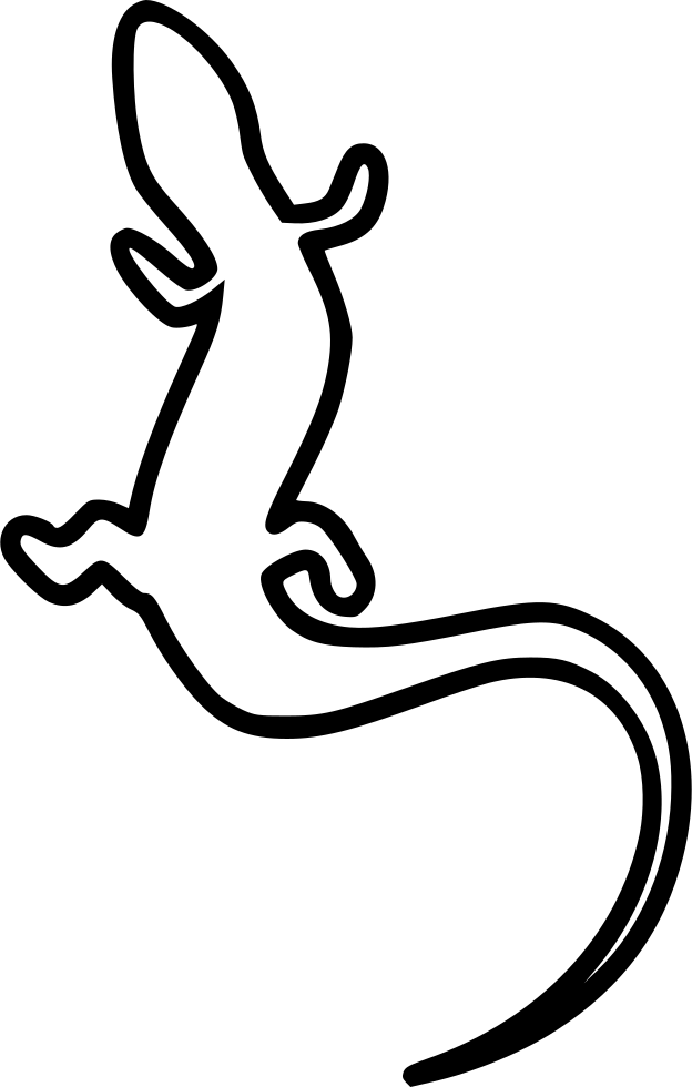 624 X 980 4 - Lizard Icon Png Clipart (624x980), Png Download