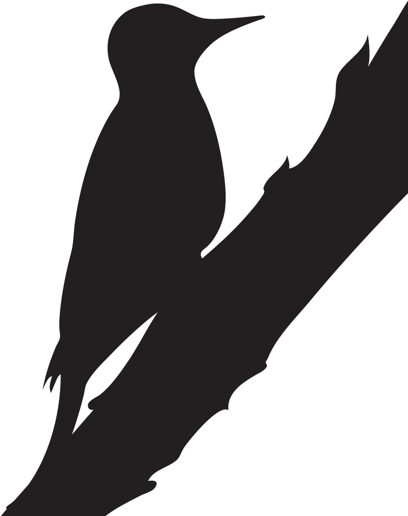 Woodpecker Silhouette - Woodpecker Black And White Clipart (1024x1024), Png Download