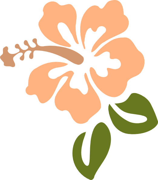 Hibiscus Clip Art - Png Download (522x594), Png Download