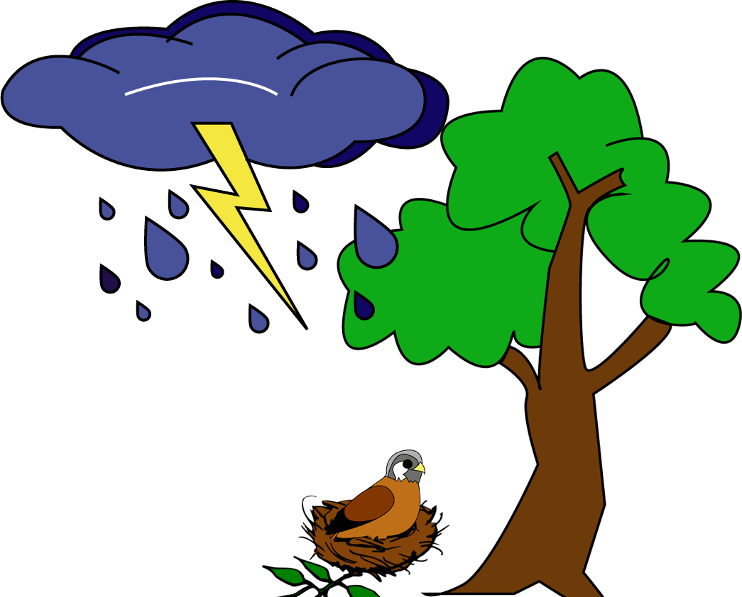 A Kestrel In A Nest That Just Got Knocked Out Of A Clipart (1045x842), Png Download