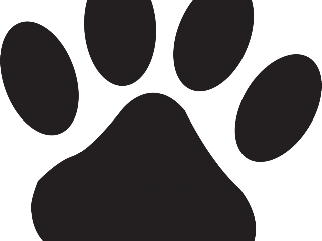 Husky Clipart Bear Paw - Cat Paw Print Small - Png Download (640x480), Png Download