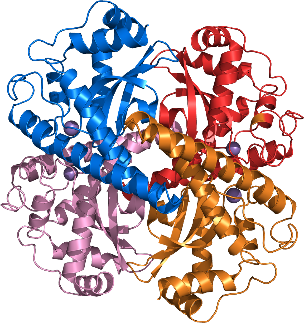 High Acyl Gellan Gum - Superoxide Dismutase Clipart (1200x1270), Png Download