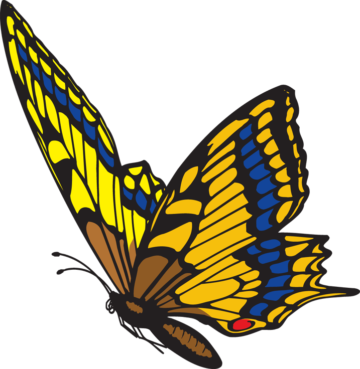 Diamonsforever31 - Blogspot - - Flying Butterfly Clipart Png Transparent Png (717x736), Png Download