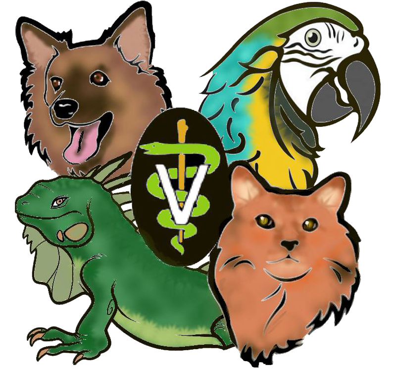Special Services - Animal Medical Hospital Of Centereach Clipart (796x753), Png Download