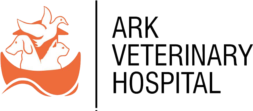 Products Archive - Veterinary Physician Clipart (900x396), Png Download