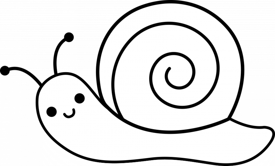 Download Snail Cartoon Black And White Clipart White - Snail Cartoon Black And White - Png Download (900x544), Png Download