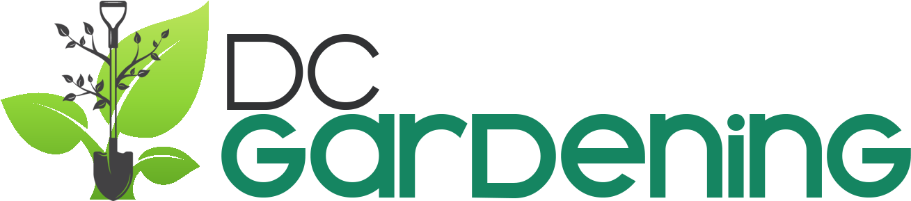 Dc Garden Service Dc Garden Service - Yellow Clipart (1326x313), Png Download