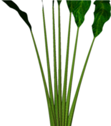 Pot Plant Clipart Container Gardening - Grass - Png Download (640x480), Png Download