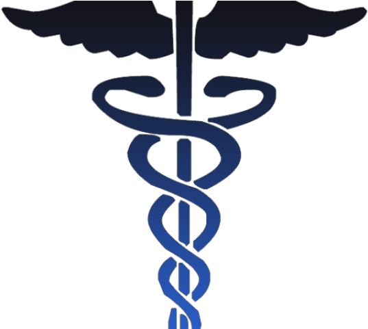 Doctor Symbol Clipart Medical Sign - E-health: The Advent Of Online Cancer Information Systems - Png Download (640x480), Png Download