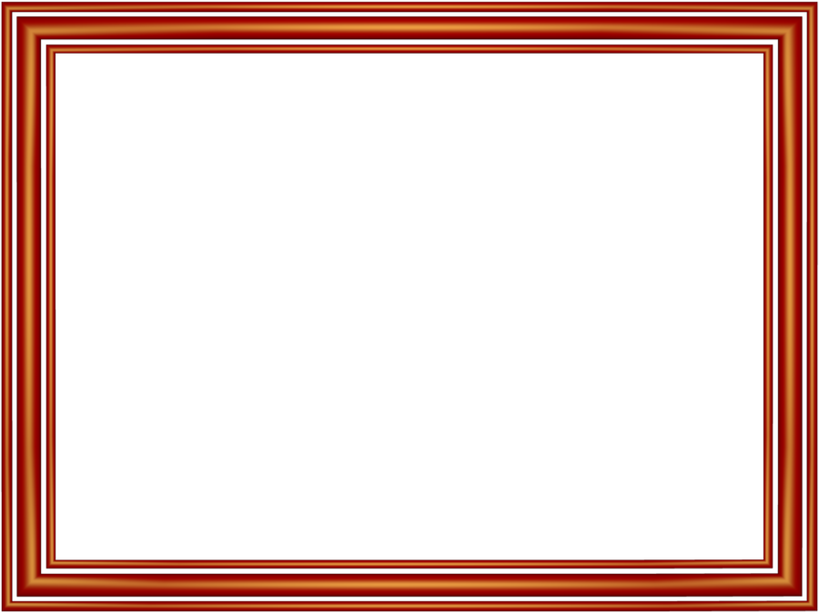 Tr border color
