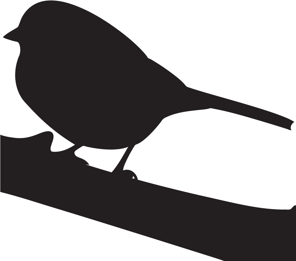 Harris's Sparrow Overview, All About Birds, Cornell - White Crowned Sparrow Silhouette Clipart (1024x1024), Png Download