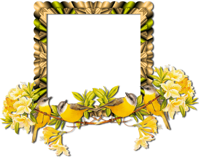 Download - Picture Frame Clipart (700x700), Png Download