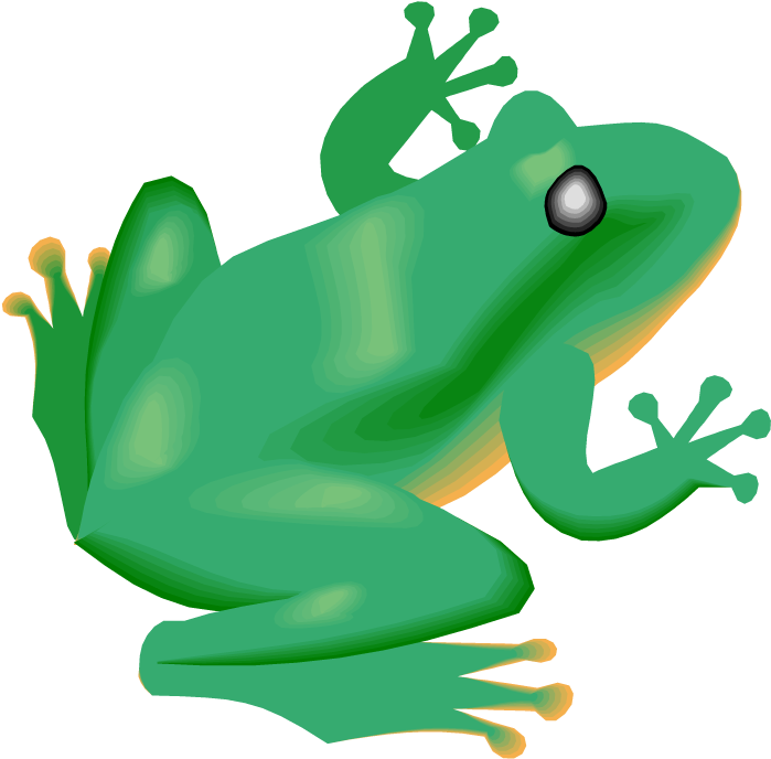 Free Frog Clipart - Conclusion About The Frog - Png Download (750x744), Png Download